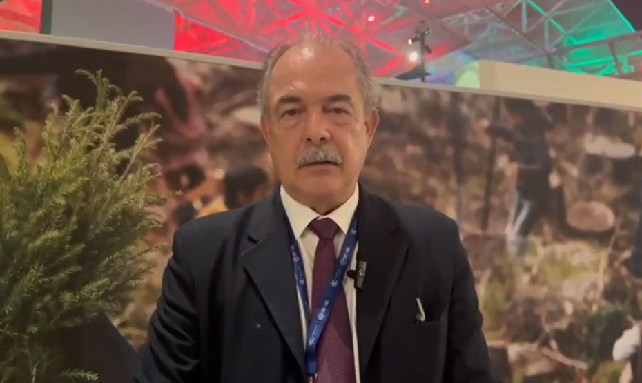 Aloizio Mercadante, presidente do BNDES