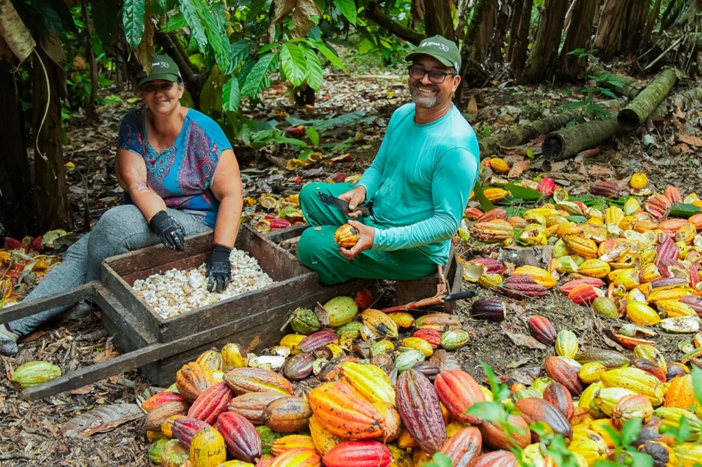 Produtora de cacau da Bahia ganha prêmio ATeG 2023, cacauicultora, Ibirapitanga Produtora de cacau da Bahia ganha prêmio ATeG 2023, cacauicultora, Ibirapitanga