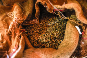 café, paraná