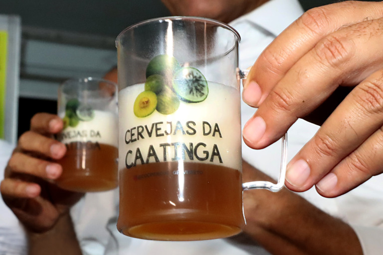 Produzida na Bahia, cerveja de umbu começa a ser distribuída no Brasil