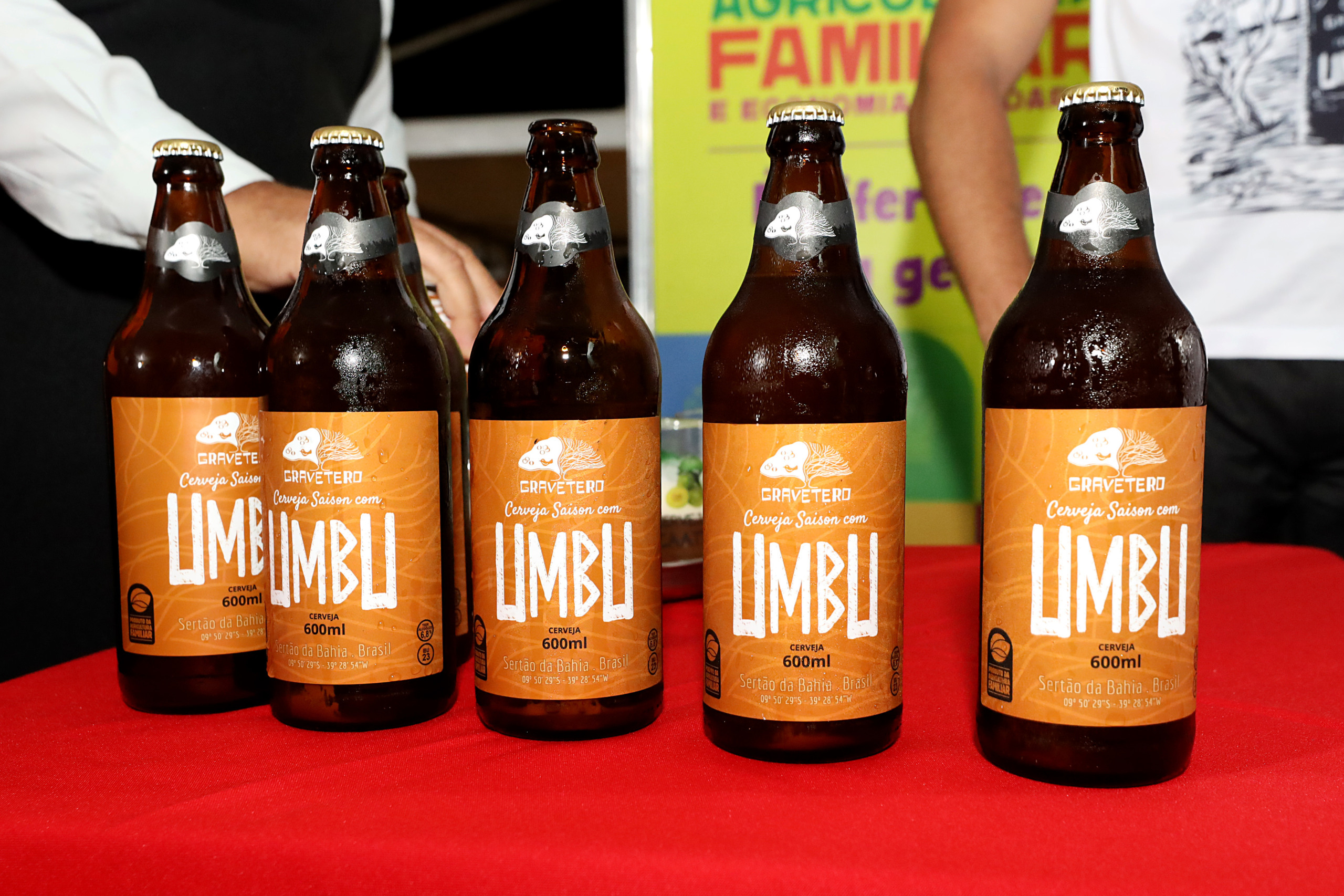 Produzida na Bahia, cerveja de umbu começa a ser distribuída no Brasil; agricultura familiar