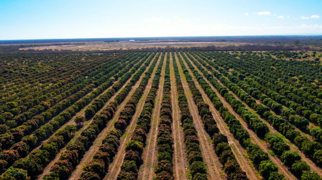 Nova fronteira agrícola em Barra, no oeste da Bahia, rio São Francisco, Rio Grande