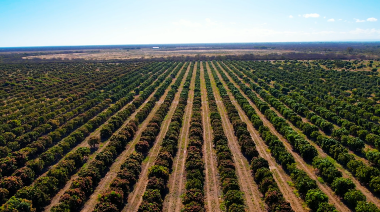 Nova fronteira agrícola em Barra, no oeste da Bahia, rio São Francisco, Rio Grande
