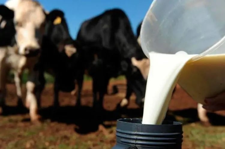 A captação de leite está sendo retomada no Rio Grande do Sul, segundo Darlan Palharini