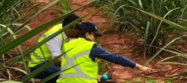 Agronegócio, solução, tecnologia, inteligência artifical