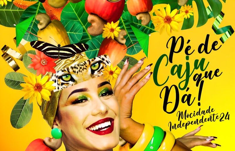 No carnaval do Rio de Janeiro deste ano, o caju se tornou o tema do samba-enredo da Mocidade Independente de Padre Miguel