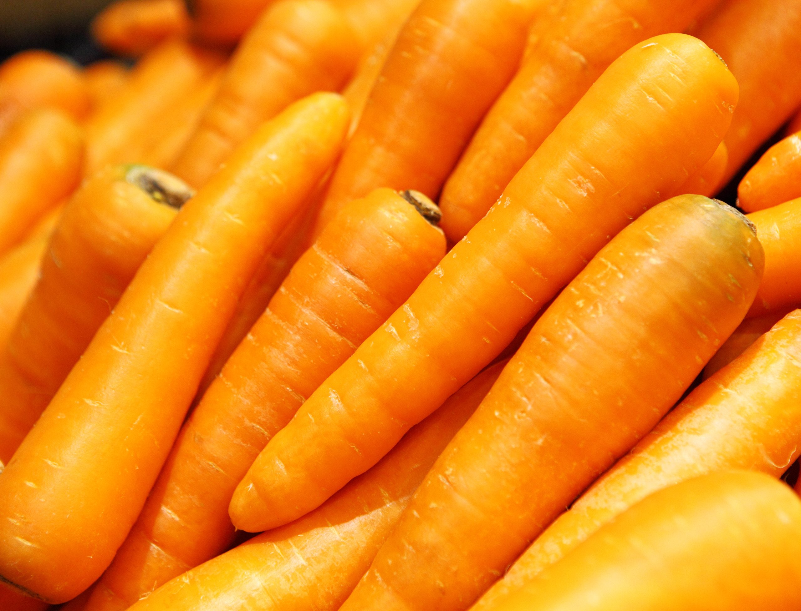 Cenoura legume raiz hortifrúti
