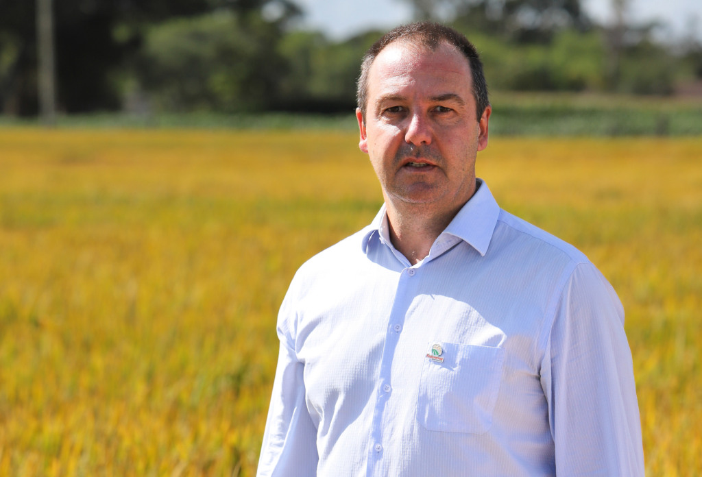Alexandre Velho, Federarroz, arroz Alexandre Velho, Federarroz, arroz