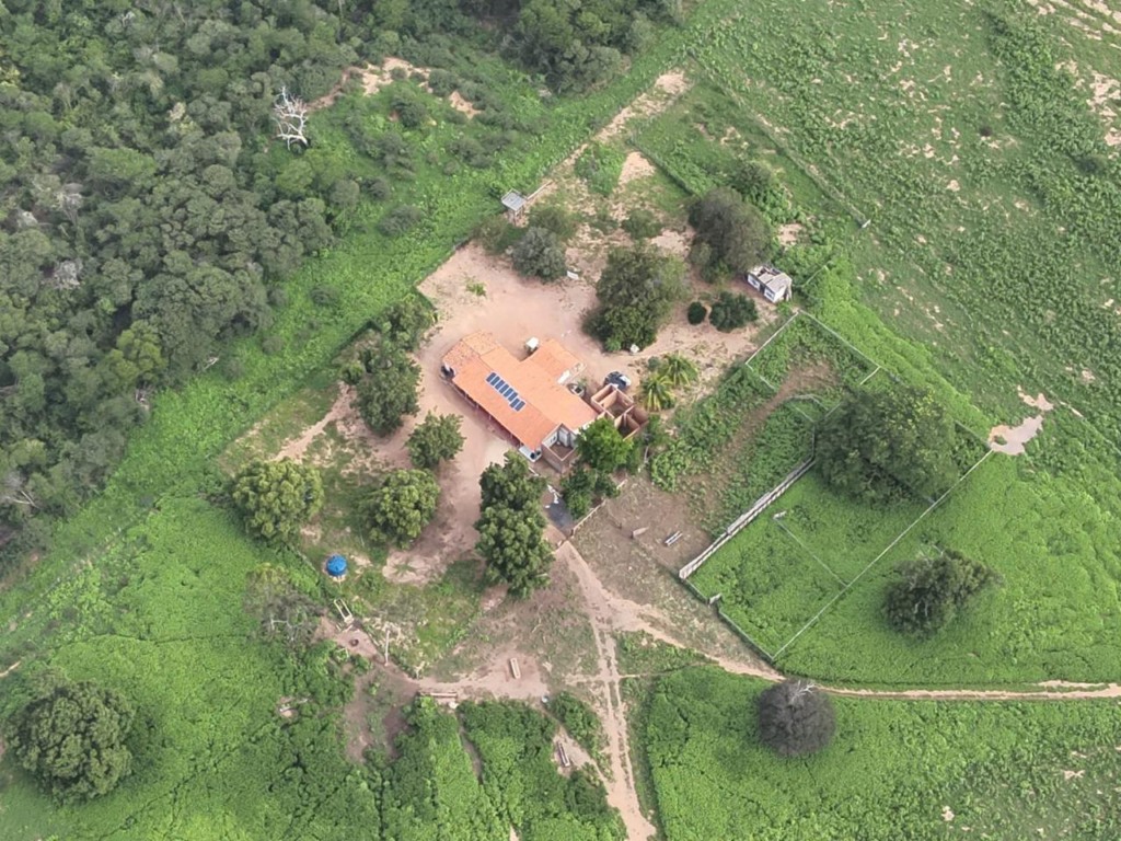 operação kariri, fazenda, família, organização criminosa, plantação de maconha, bahia, Pernambuco, Brasília, São Paulo operação kariri, fazenda, família, organização criminosa, plantação de maconha, bahia, Pernambuco, Brasília, São Paulo