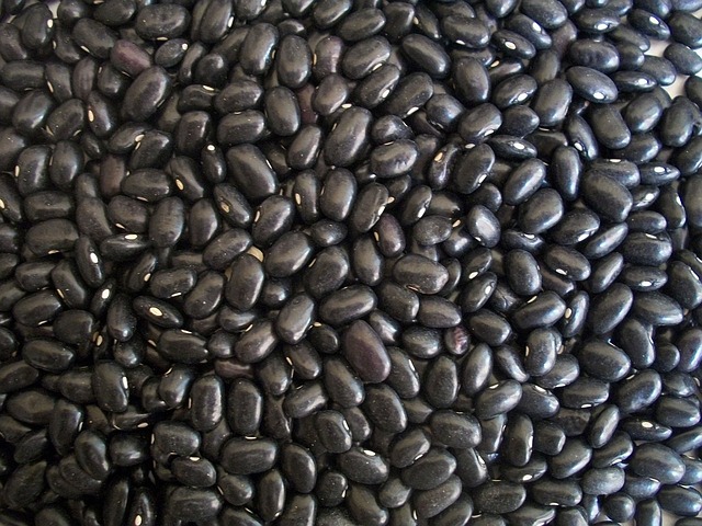 Dia das Leguminosas: feijão preto é sucesso nas mesas do Sudeste; conheça seus benefícios