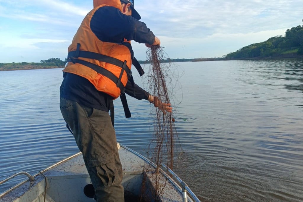 piracema, paraná, iat piracema, paraná, iat