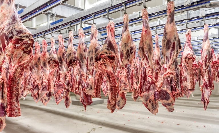 Exportação de carne bovina