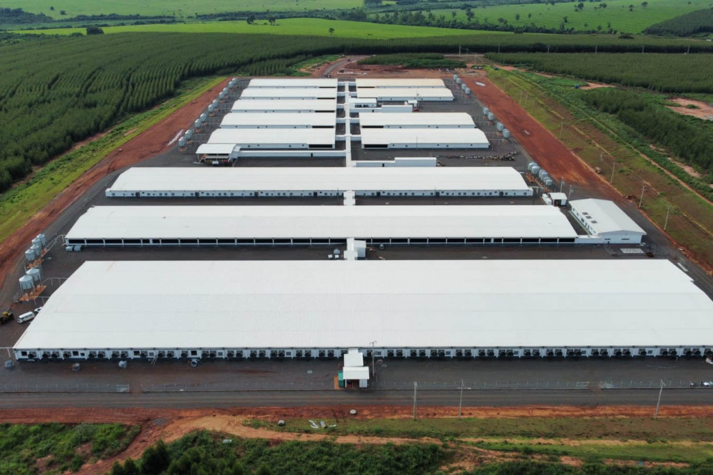 granja, suínos, agroceres, paraná granja, suínos, agroceres, paraná