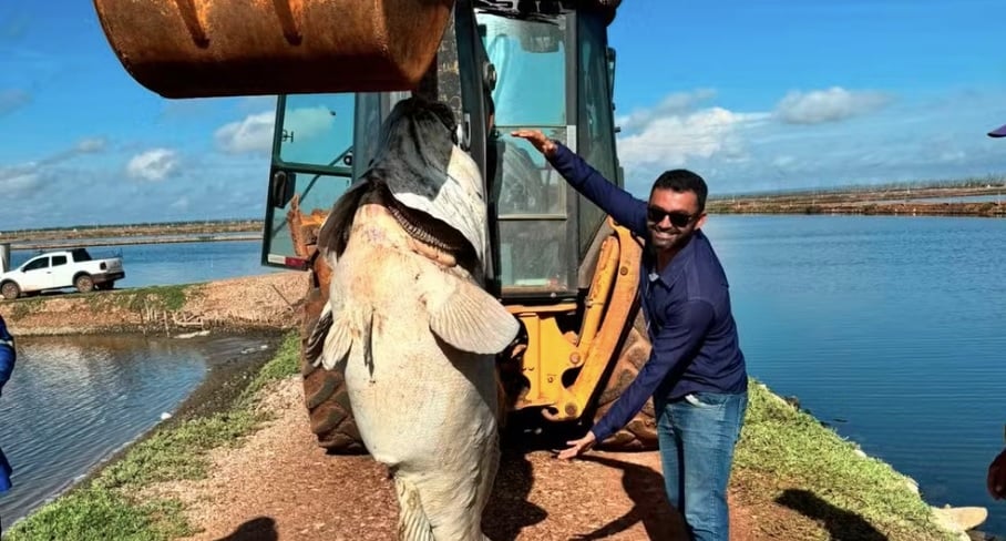 peixe gigante encontrado no Rio Grande do Norte