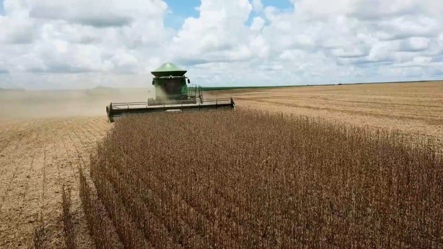 Com saca em declínio, ritmo da colheita da soja desacelera em MT