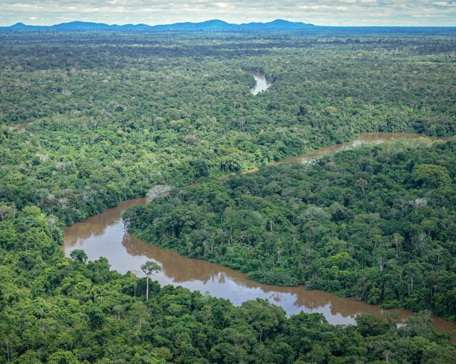 Governo lança programa para combater desmatamento e incêndios na Amazônia