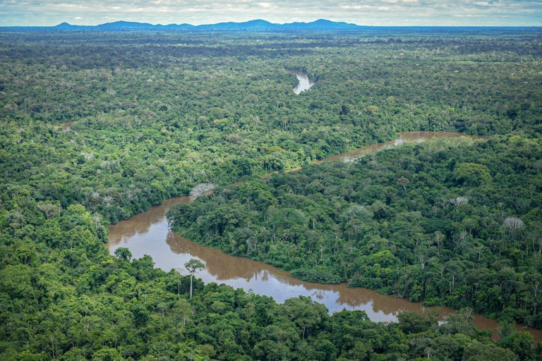 Governo lança programa para combater desmatamento e incêndios na Amazônia