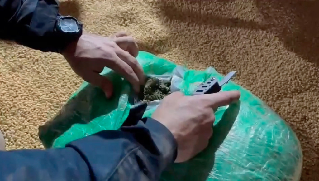 Apreensão de maconha em carga de soja no paraná Apreensão de maconha em carga de soja no paraná