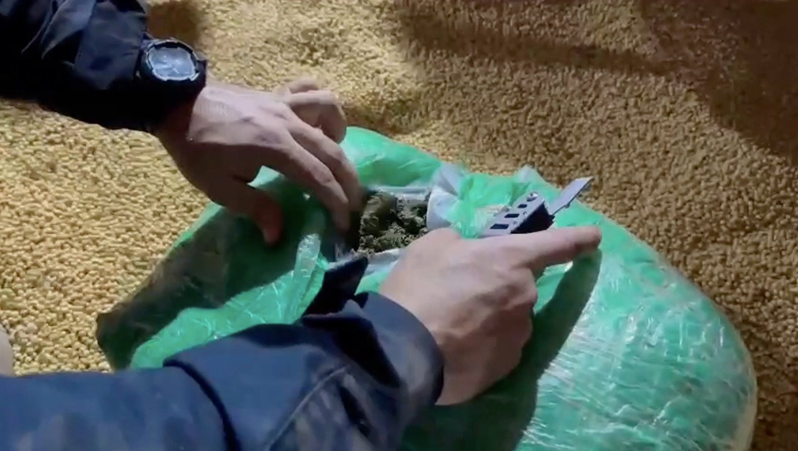 Apreensão de maconha em carga de soja no paraná
