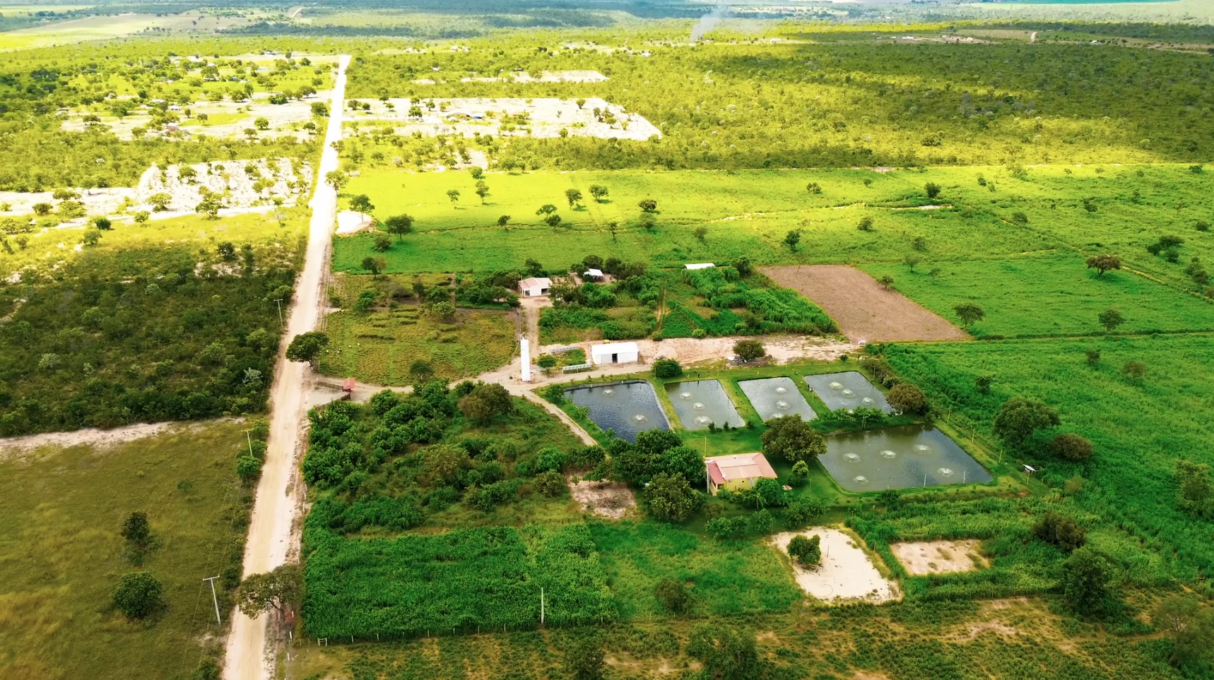 Piscicultura, nordeste, bahia, oeste da bahia, tilápia, produção, peixes