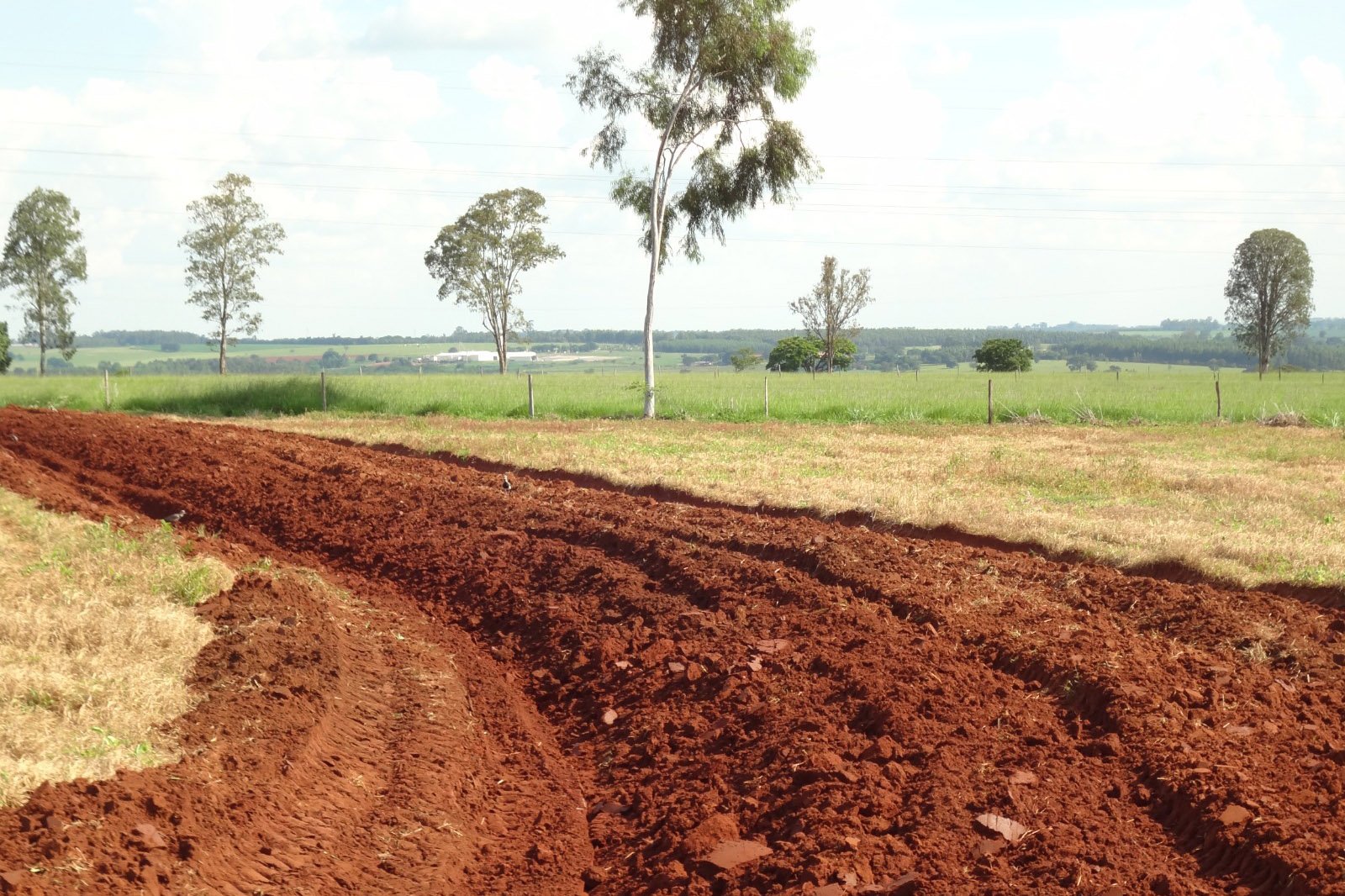 IDR-Paraná vai discutir mudanças climáticas e manejo de solo na ExpoLondrina