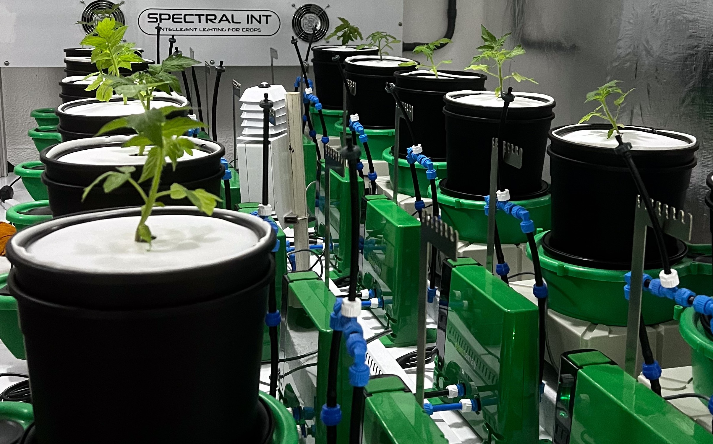 Laboratório simula condições climáticas para otimizar produção de hortaliças