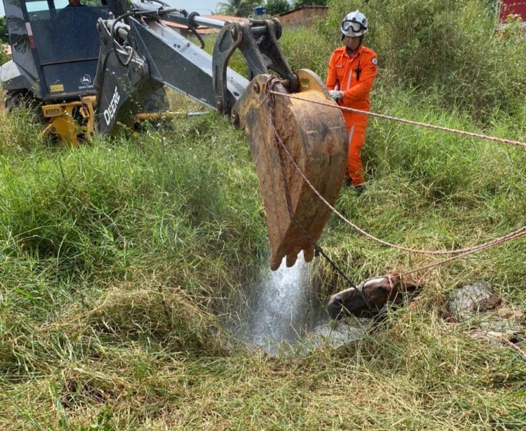 cavalo, resgate, corpo de bombeiros, fossa, barreiras, oeste da bahia, queda, caiu