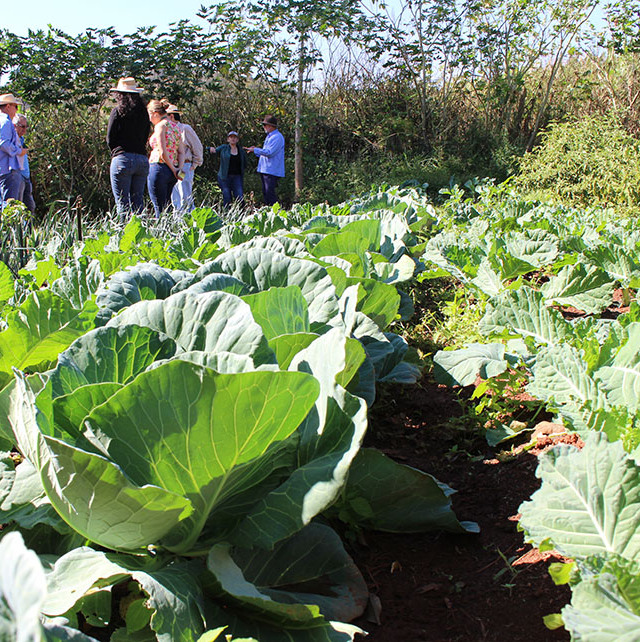 Indicadores; projeto da Emater