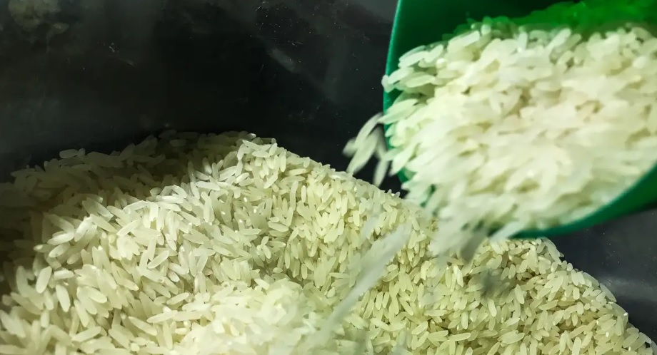 arroz, agência brasil