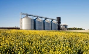 Desembolso do crédito rural no Plano Safra 2023/24 atinge R$ 347,2 bi em 10 meses