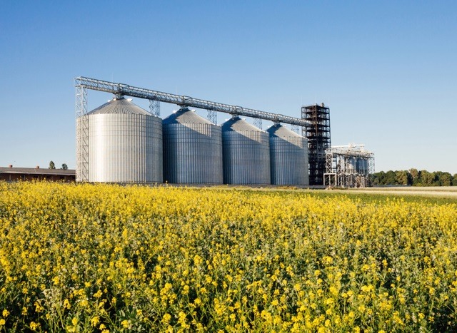 Desembolso do crédito rural no Plano Safra 2023/24 atinge R$ 347,2 bi em 10 meses