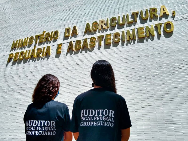 greve auditores agropecuários