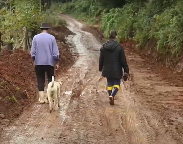 vinhedo na Serra Gaúcha devastado pelas chuvas