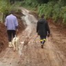 vinhedo na Serra Gaúcha devastado pelas chuvas