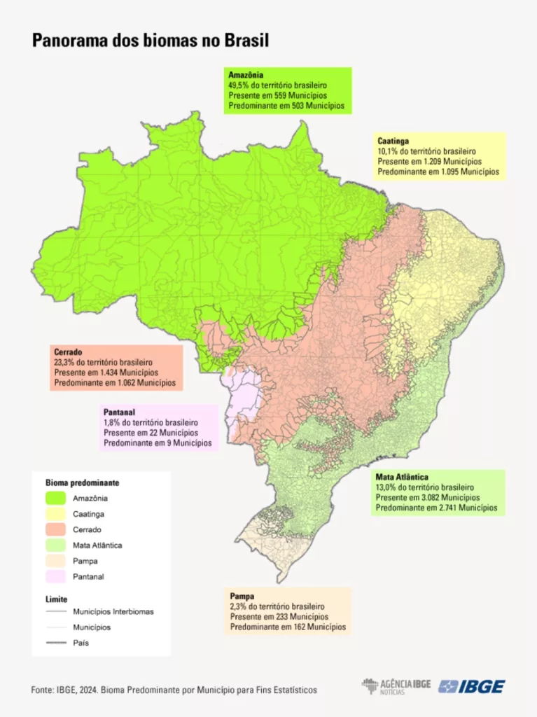 biomas, Caatinga, Bahia, Oeste da Bahia, Cerrado, Brasil, IBGE