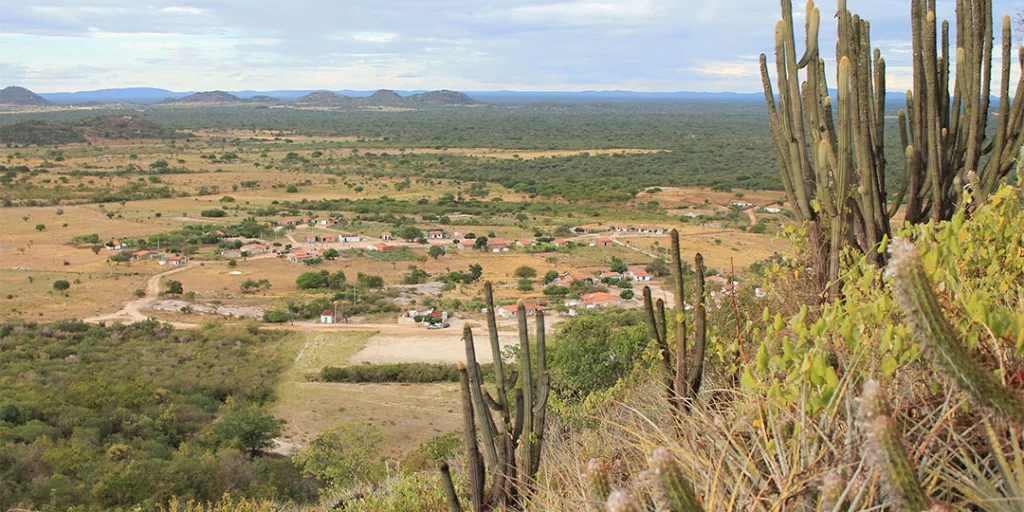 Caatinga, bioma, Bahia, Brasil,