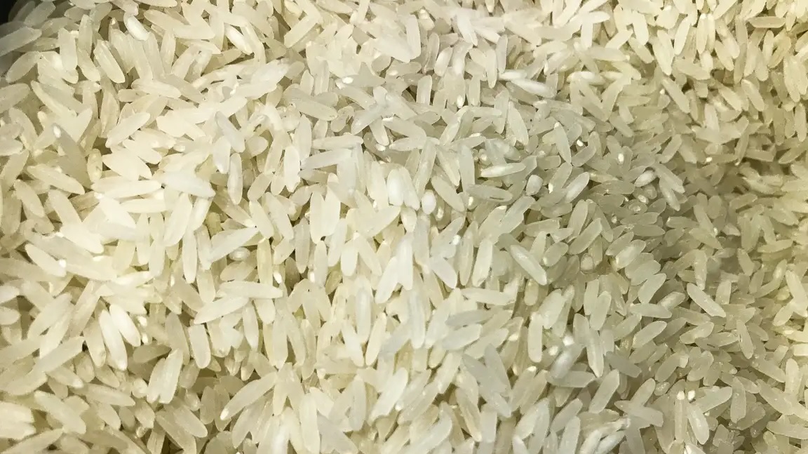 grãos de arroz