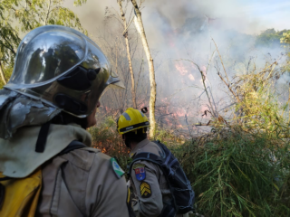 Bombeiros do PR registraram mais de 5 mil focos de incêndio. florestal em 2023. | Foto: AEN