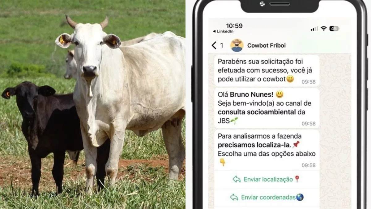 ‘Cowbot’: JBS lança ferramenta que amplia monitoramento socioambiental na cadeia da pecuária