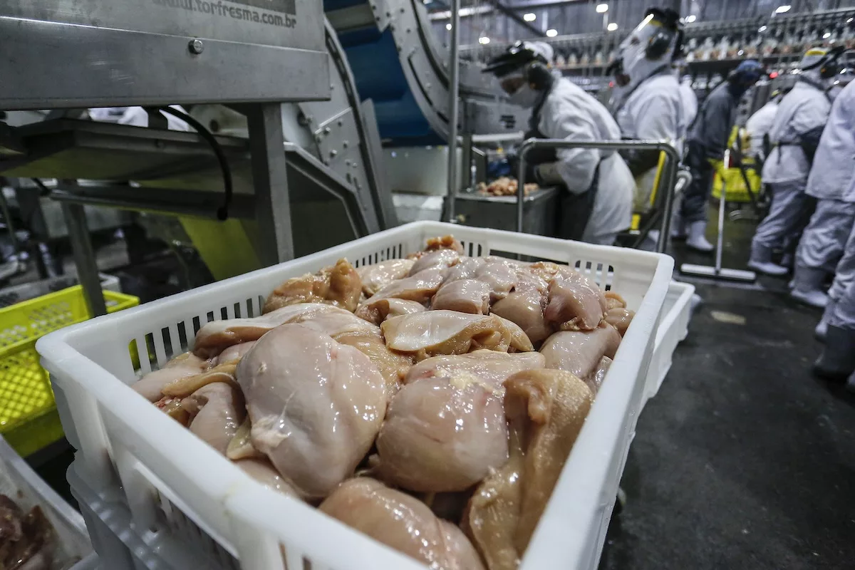 indústria processando da carne de frango