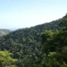 biomas, Plano Clima
