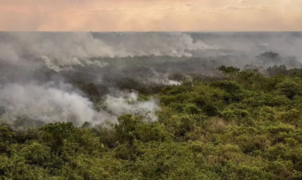 incêndio no Pantanal incêndio no Pantanal