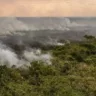 incêndio no Pantanal