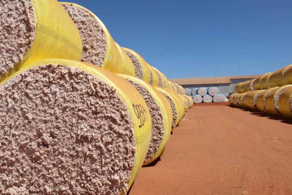 Brasil ultrapassa EUA e se torna maior exportador mundial de algodão Brasil ultrapassa EUA e se torna maior exportador mundial de algodão