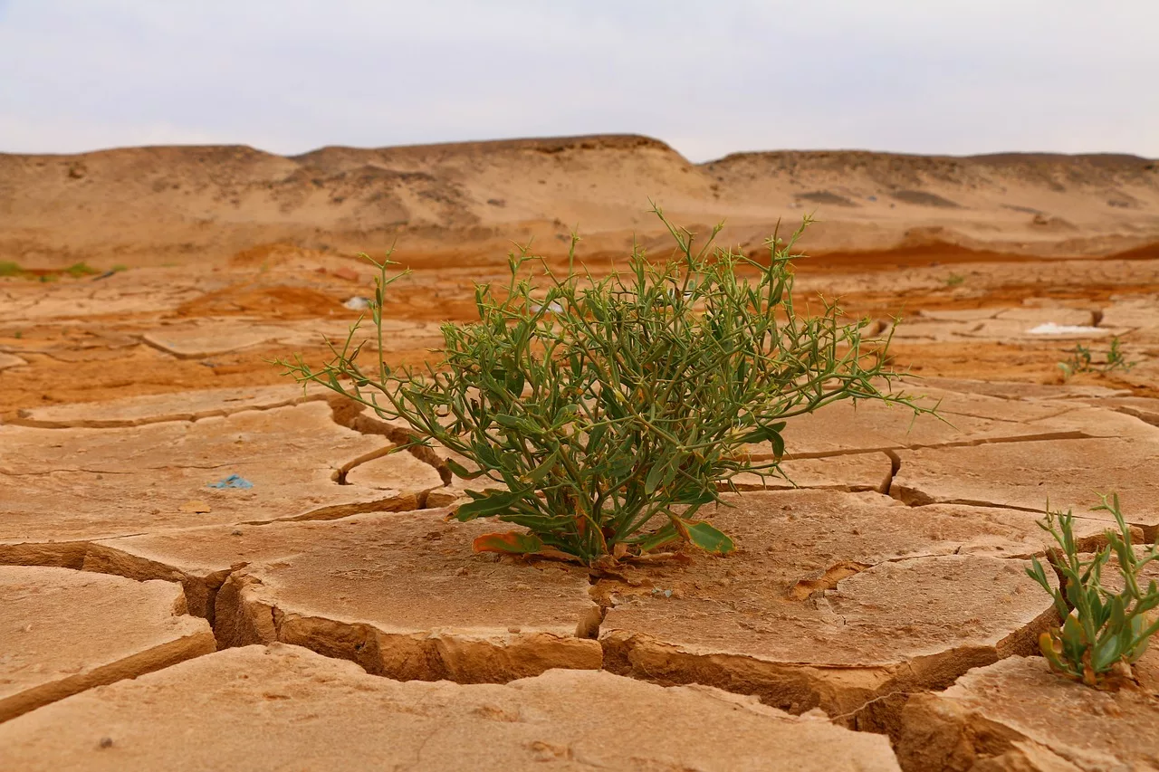clima deserto seca