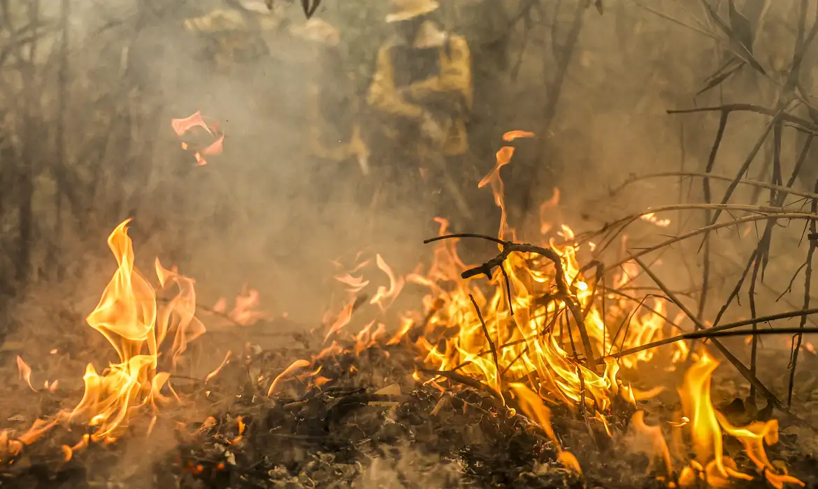Pantanal: 96% dos incêndios foram extintos ou controlados