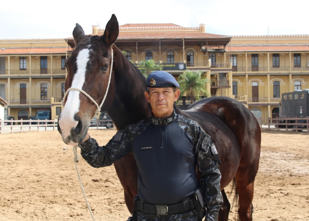 Sargento; cavalo 