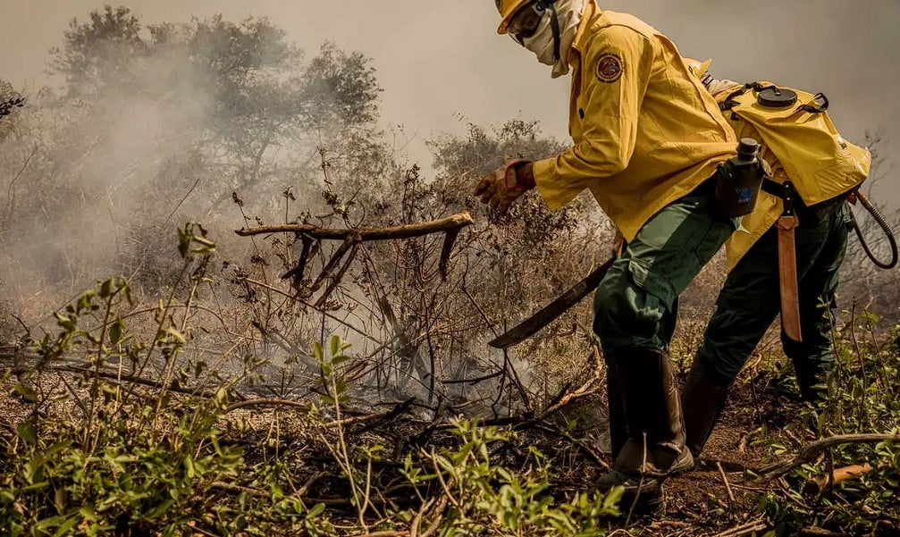 Incêndios Pantanal