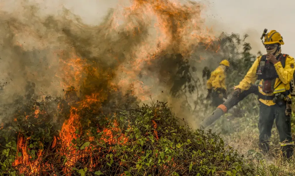 Incêndios no Pantanal Incêndios no Pantanal
