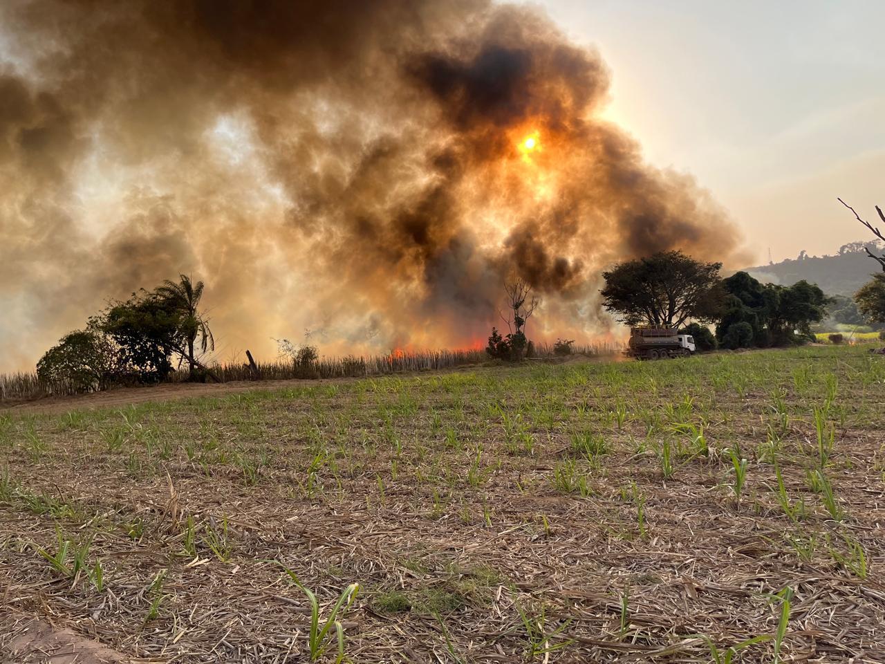 Incêndio em Monte Aprazível (SP)